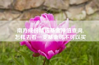 南方成份精选基金净值查询,
怎样去看一支基金可不可以买