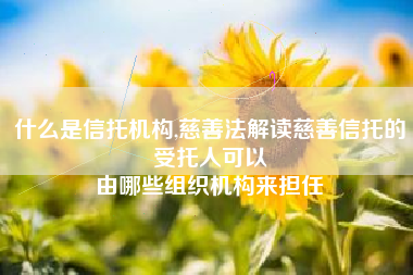 什么是信托机构,慈善法解读慈善信托的受托人可以
由哪些组织机构来担任 什么是信托机构,慈善法解读慈善信托的受托人可以
由哪些组织机构来担任