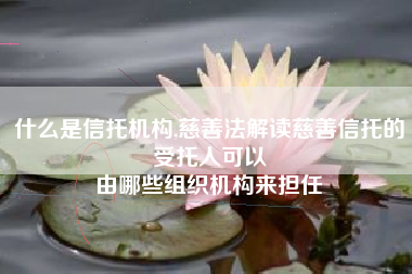 什么是信托机构,慈善法解读慈善信托的受托人可以
由哪些组织机构来担任 什么是信托机构,慈善法解读慈善信托的受托人可以
由哪些组织机构来担任