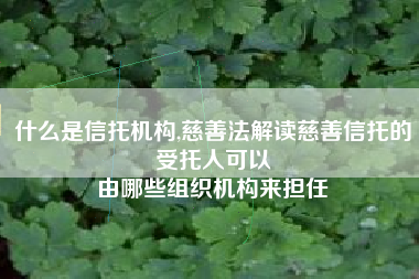什么是信托机构,慈善法解读慈善信托的受托人可以
由哪些组织机构来担任 什么是信托机构,慈善法解读慈善信托的受托人可以
由哪些组织机构来担任