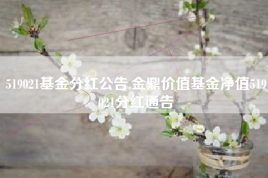519021基金分红公告,金鼎价值基金净值519021分红通告