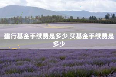 建行基金手续费是多少,买基金手续费是多少