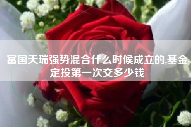 富国天瑞强势混合什么时候成立的,基金定投第一次交多少钱
