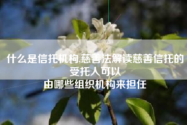 什么是信托机构,慈善法解读慈善信托的受托人可以
由哪些组织机构来担任 什么是信托机构,慈善法解读慈善信托的受托人可以
由哪些组织机构来担任