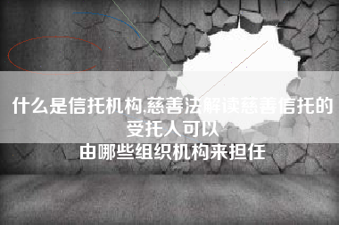 什么是信托机构,慈善法解读慈善信托的受托人可以
由哪些组织机构来担任 什么是信托机构,慈善法解读慈善信托的受托人可以
由哪些组织机构来担任