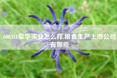 600311荣华实业怎么样,粮食生产上市公司有哪些