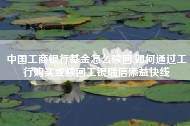 中国工商银行基金怎么赎回,如何通过工行购买或赎回工银瑞信添益快线