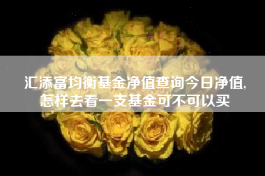汇添富均衡基金净值查询今日净值,
怎样去看一支基金可不可以买