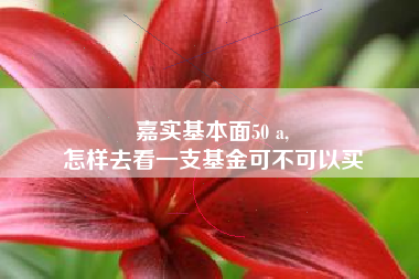 嘉实基本面50 a,
怎样去看一支基金可不可以买