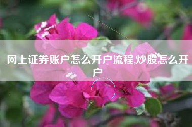 网上证券账户怎么开户流程,炒股怎么开户