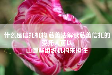 什么是信托机构,慈善法解读慈善信托的受托人可以
由哪些组织机构来担任 什么是信托机构,慈善法解读慈善信托的受托人可以
由哪些组织机构来担任