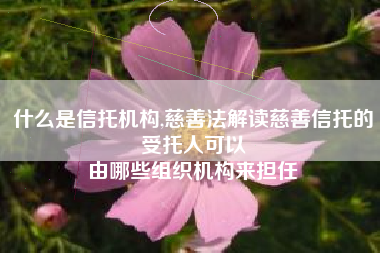 什么是信托机构,慈善法解读慈善信托的受托人可以
由哪些组织机构来担任 什么是信托机构,慈善法解读慈善信托的受托人可以
由哪些组织机构来担任