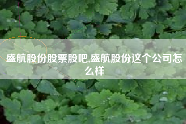 盛航股份股票股吧,盛航股份这个公司怎么样