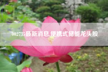 002735最新消息,便携式储能龙头股