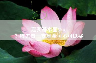 嘉实基本面50 a,
怎样去看一支基金可不可以买