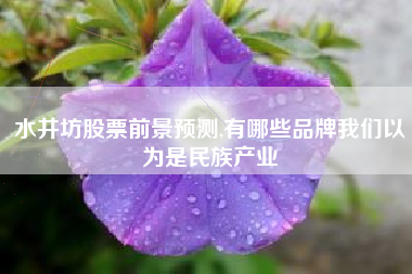 水井坊股票前景预测,有哪些品牌我们以为是民族产业
