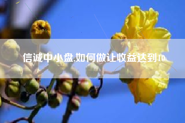 信诚中小盘,如何做让收益达到10