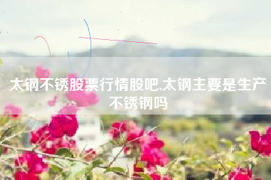 太钢不锈股票行情股吧,太钢主要是生产不锈钢吗