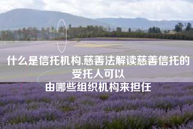 什么是信托机构,慈善法解读慈善信托的受托人可以
由哪些组织机构来担任 什么是信托机构,慈善法解读慈善信托的受托人可以
由哪些组织机构来担任