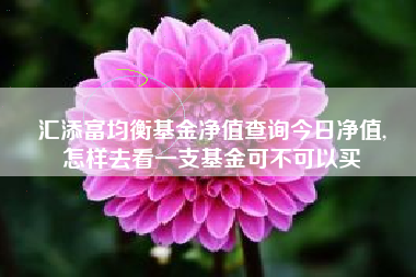 汇添富均衡基金净值查询今日净值,
怎样去看一支基金可不可以买