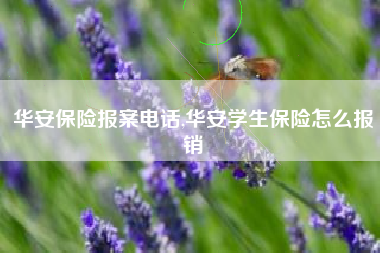 华安保险报案电话,华安学生保险怎么报销