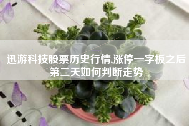 迅游科技股票历史行情,涨停一字板之后第二天如何判断走势