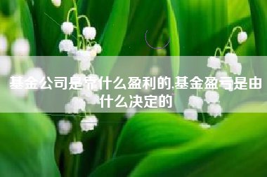 基金公司是靠什么盈利的,基金盈亏是由什么决定的