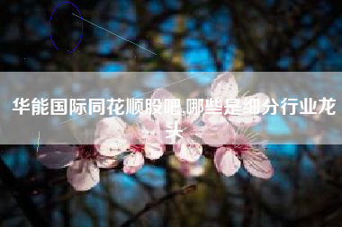 华能国际同花顺股吧,哪些是细分行业龙头