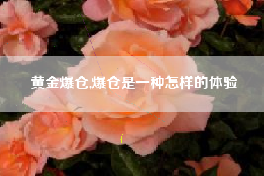 黄金爆仓,爆仓是一种怎样的体验