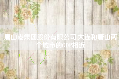 唐山港集团股份有限公司,大连和唐山两个城市的GDP相近