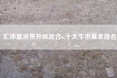 汇添富消费升级混合a,十大牛市基金排名