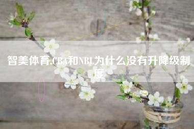 智美体育,CBA和NBL为什么没有升降级制度