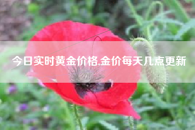 今日实时黄金价格,金价每天几点更新