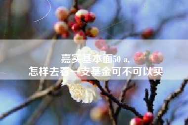 嘉实基本面50 a,
怎样去看一支基金可不可以买