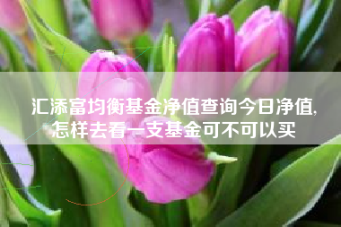 汇添富均衡基金净值查询今日净值,
怎样去看一支基金可不可以买