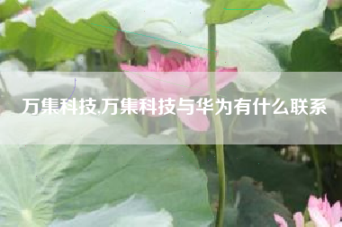 万集科技,万集科技与华为有什么联系
