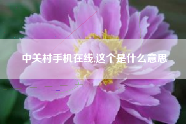 中关村手机在线,这个是什么意思