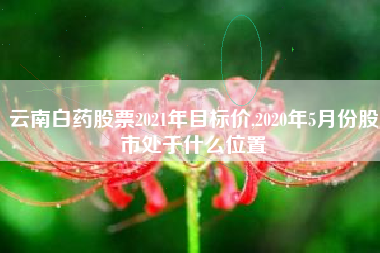 云南白药股票2021年目标价,2020年5月份股市处于什么位置