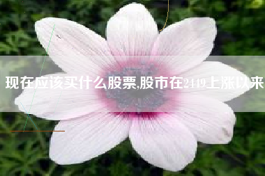 现在应该买什么股票,股市在2449上涨以来