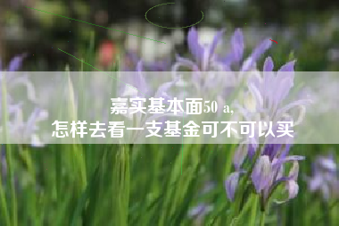 嘉实基本面50 a,
怎样去看一支基金可不可以买