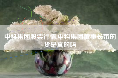 中科集团股票行情,中科集团董事长带的货是真的吗