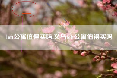 loft公寓值得买吗,义乌loft公寓值得买吗