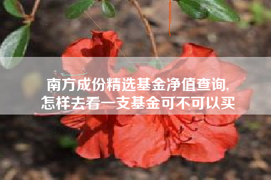 南方成份精选基金净值查询,
怎样去看一支基金可不可以买