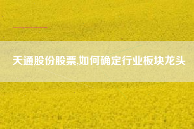天通股份股票,如何确定行业板块龙头