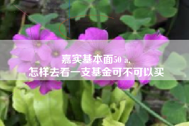 嘉实基本面50 a,
怎样去看一支基金可不可以买