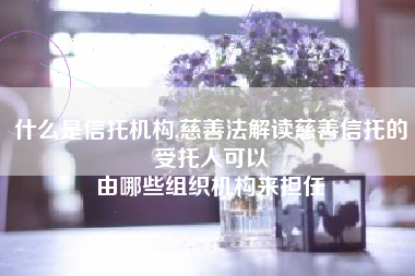 什么是信托机构,慈善法解读慈善信托的受托人可以
由哪些组织机构来担任 什么是信托机构,慈善法解读慈善信托的受托人可以
由哪些组织机构来担任