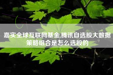 嘉实全球互联网基金,腾讯自选股大数据策略组合是怎么选股的