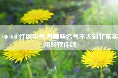 000400 许继电气,有哪些名气不大却非常实用的软件呢