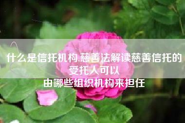 什么是信托机构,慈善法解读慈善信托的受托人可以
由哪些组织机构来担任 什么是信托机构,慈善法解读慈善信托的受托人可以
由哪些组织机构来担任