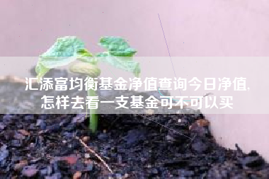 汇添富均衡基金净值查询今日净值,
怎样去看一支基金可不可以买